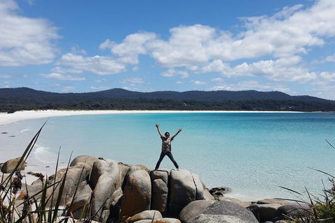 Tasmania 4 Day East Coast + Launceston - Accommodation NT 1