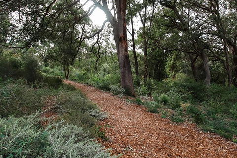 Highlights Of Kings Park - Accommodation NT 5