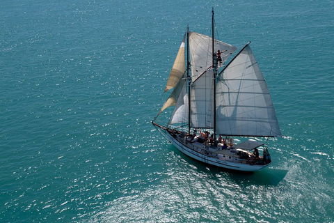 Whitehaven Beach Sailing And Snorkeling Cruise - Accommodation NT 1