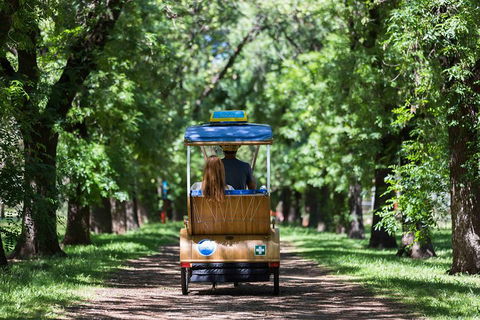 Adelaide 90-Minute Pedicab Tour: Scenic Green & River Experience - Accommodation NT 2