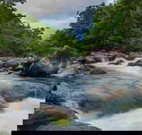 Cape Tribulation Day Tour - Accommodation NT