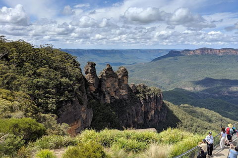 Blue Mountains Private Tour - Wild Kangaroos, Waterfalls And The Three Sisters - Accommodation NT 0