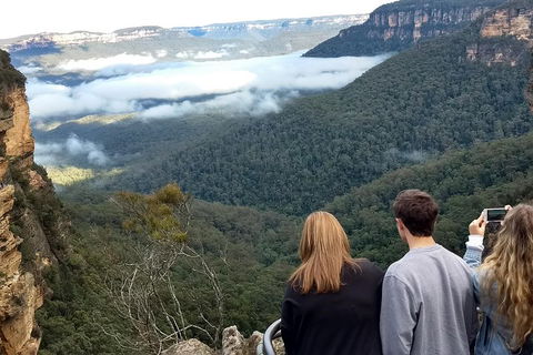 Blue Mountains Private Tour - Wild Kangaroos, Waterfalls And The Three Sisters - Accommodation NT 3