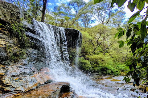 Blue Mountains Private Tour - Wild Kangaroos, Waterfalls And The Three Sisters - Accommodation NT 5