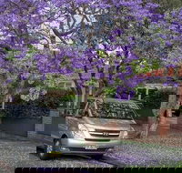 Sydney Secrets  Bondi Beach Private 4 Hr Morning with Personalised Sydney Tours - Accommodation NT