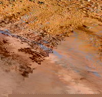 Scenic Flight Lizard Safari - Accommodation NT