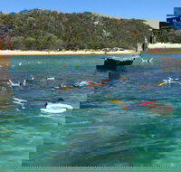 All Inclusive Dolphin and Tangalooma Wrecks Cruise - Accommodation NT