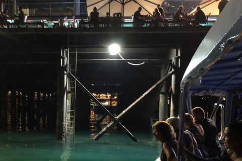 Darwin Sunset Cruise Including Fish 'n' Chips - Accommodation NT 0