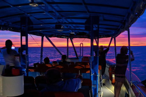 Darwin Sunset Cruise Including Fish 'n' Chips - Accommodation NT 1