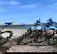 Adelaide City to Sea Bike Tour - Accommodation NT
