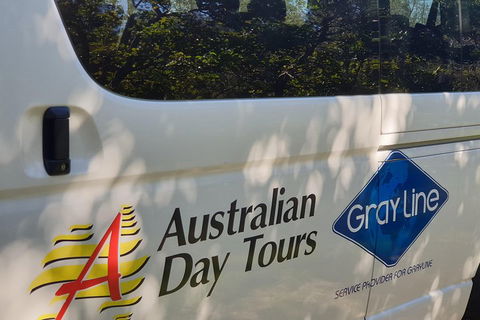 Natural Bridge Glow Worm Night Tour From Gold Coast - Accommodation NT 5