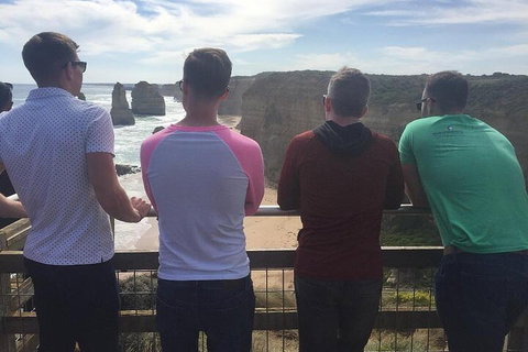LGBT+ Friendly 3 Day Private Tour Great Ocean Road & Phillip Island - Accommodation NT 3