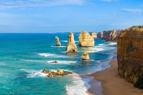 LGBT+ Friendly 3 Day Private Tour Great Ocean Road & Phillip Island - Accommodation NT 4