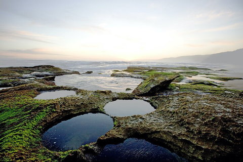 LGBT+ Friendly 3 Day Private Tour Great Ocean Road & Phillip Island - Accommodation NT 5