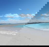 Shipwreck Special Nature Tour/Half Day Tour - Accommodation NT
