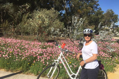 Perth Bike Tour - Beautiful Matilda Bay And Kings Park - Accommodation NT 1