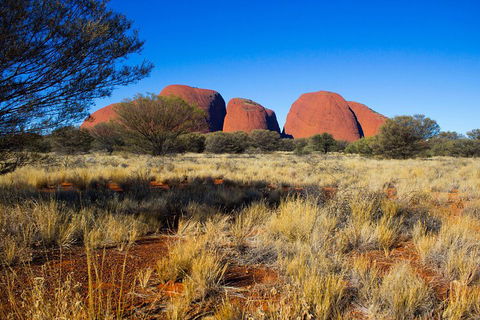 Kata Tjuta Sunrise And Valley Of The Winds Half-Day Trip - Accommodation NT 1