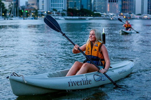 Brisbane Kayak Tour - Accommodation NT 2