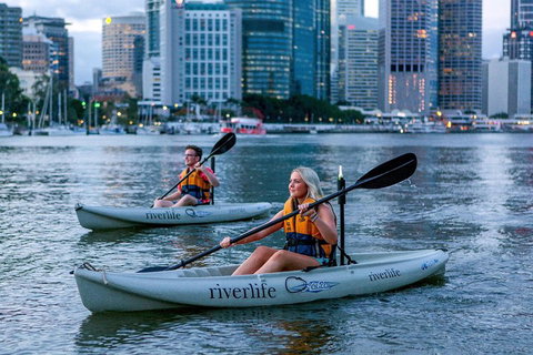 Brisbane Kayak Tour - Accommodation NT 3