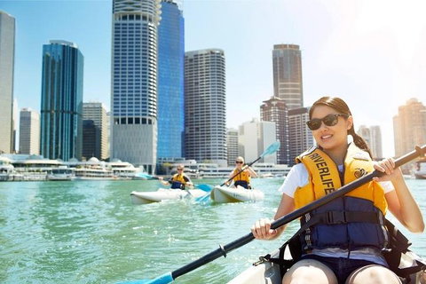 Brisbane Kayak Tour - Accommodation NT 5