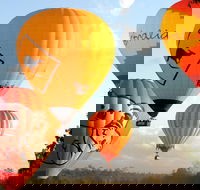 Natural Bridge  Springbrook Waterfalls Tour  Hot Air Balloon with Breakfast - Accommodation NT