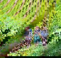 Tasmanian Wine Tour - Accommodation NT