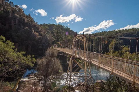 Launceston Private Charter Service - Accommodation NT 5