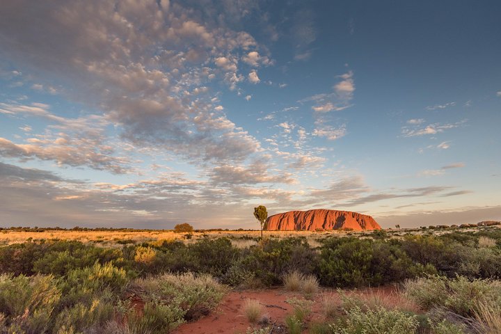 Alice Springs NT Accommodation NT