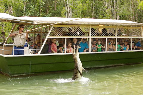 Hartley's Crocodile Adventure Half-Day Tour - Accommodation NT 0