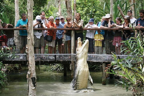 Hartley's Crocodile Adventure Half-Day Tour - Accommodation NT 1