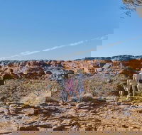 The Amazing Kings Canyon 4-Hours Walking Tour and Hike - Accommodation NT