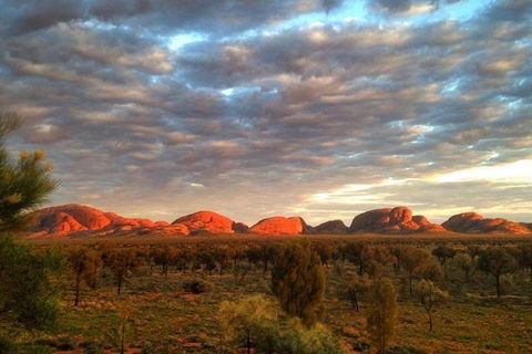 5-Hour Kata Tjuta Sunrise Tour From Ayers Rock With Breakfast - Accommodation NT 1