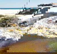 Full-Day Moreton Island 4x4 Sightseeing Tour - Accommodation NT
