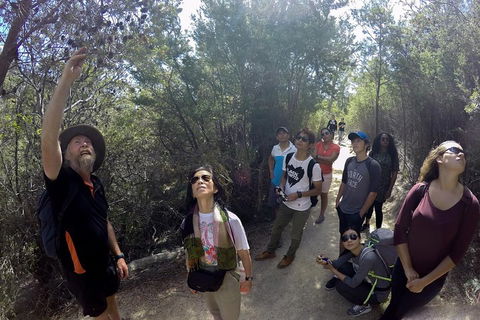 Active Day Tour One-Way From Launceston To Hobart Via Wineglass Bay - Accommodation NT 0