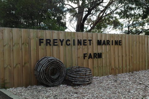 Active Day Tour One-Way From Launceston To Hobart Via Wineglass Bay - Accommodation NT 3