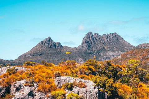 Cradle Mountain National Park Day Tour From Launceston - Accommodation NT 1