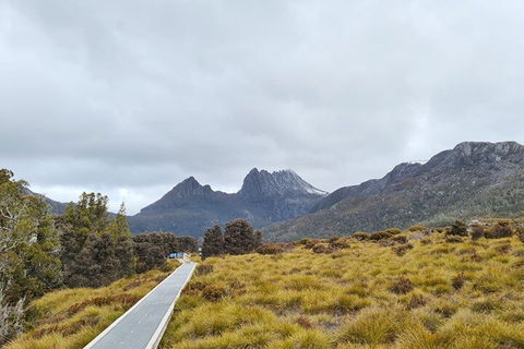 Cradle Mountain National Park Day Tour From Launceston - Accommodation NT 2