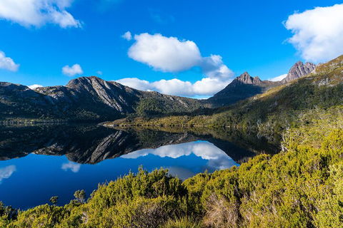 Cradle Mountain National Park Day Tour From Launceston - Accommodation NT 3