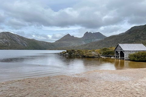 Cradle Mountain National Park Day Tour From Launceston - Accommodation NT 4