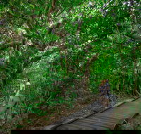 Green Island Eco Adventure from Cairns - Accommodation NT