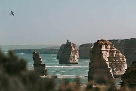 Half-Day Or Full-Day Tour With Private Guide From Melbourne - Accommodation NT 0