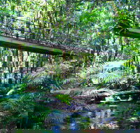 Double Pack-Ancient Rainforest and Waterfalls - Accommodation NT