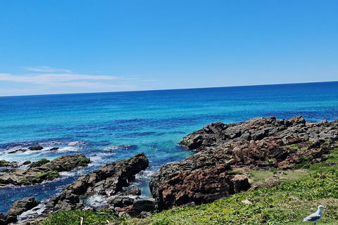 Private Custom Byron Bay Day Out - Accommodation NT 4