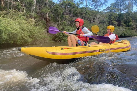 Yarra River Half-Day Rafting Experience - Accommodation NT 1