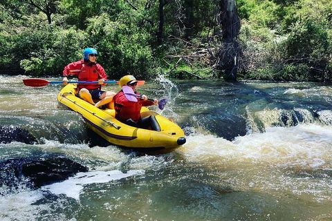 Yarra River Half-Day Rafting Experience - Accommodation NT 4