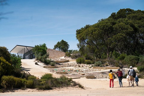 2-Hour Koala Walking Tour In Kangaroo Island - Accommodation NT 3