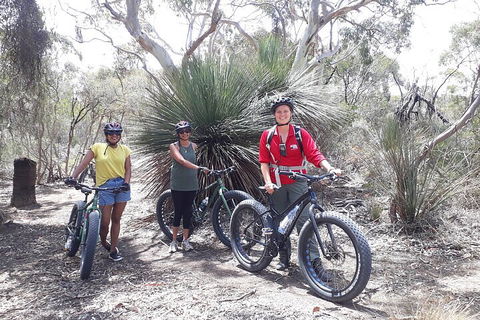 2 Hour Bike Tour In Kangaroo Island - Accommodation NT 0