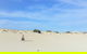 2 Hour Bike Tour In Kangaroo Island - thumb 1