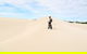 2 Hour Bike Tour In Kangaroo Island - thumb 4