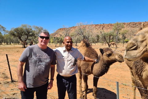 West MacDonnell Ranges Half-Day Small-Group Tour With Camel Ride - Accommodation NT 1
